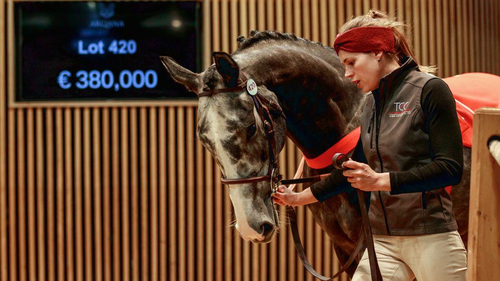 The consistent Make Me King was a €380,000 purchase by Blandford Bloodstock 