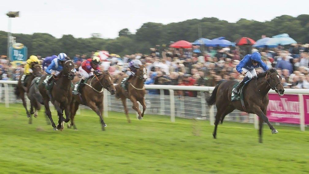 Blue Point: surges clear of his rivals to win the Gimcrack Stakes at York