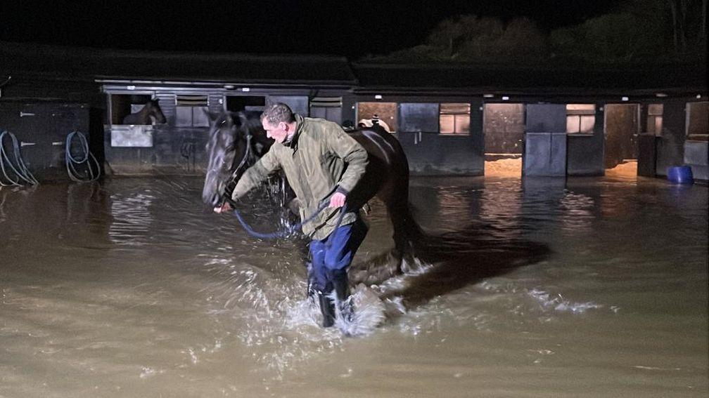 An evacuation of horses at champion trainer Paul Nicholls' Ditcheat yard on Thursday night