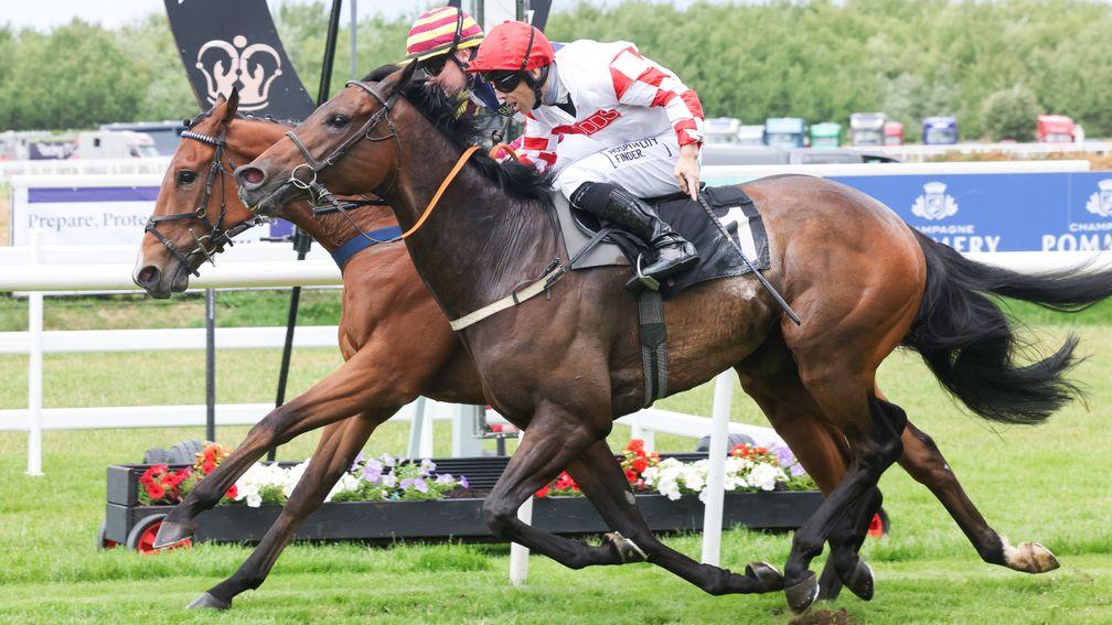 On A Session (red cap): has Galway ambitions again following his Musselburgh success