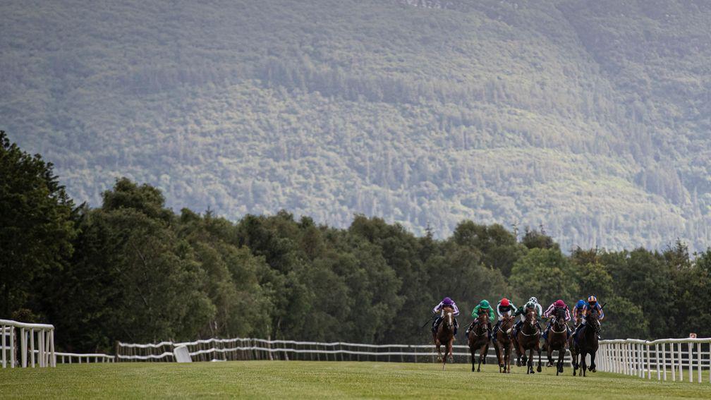 Watch Me's half-brother Watchmen heads to picturesque Killarney