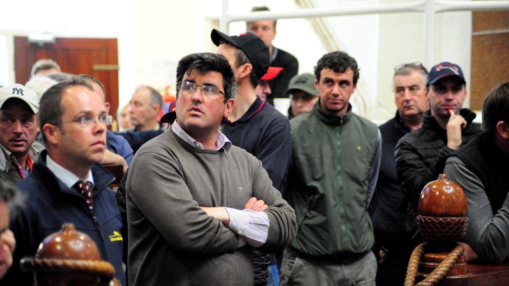 Peter Nolan (grey jumper) sold the sale-topping son of Fame And Glory for €65,000