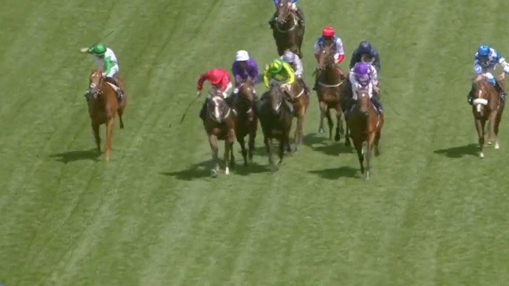 Silvestre de Sousa is forced to snatch up on the Michael O'Callaghan-trained Crispy Cat (purple)