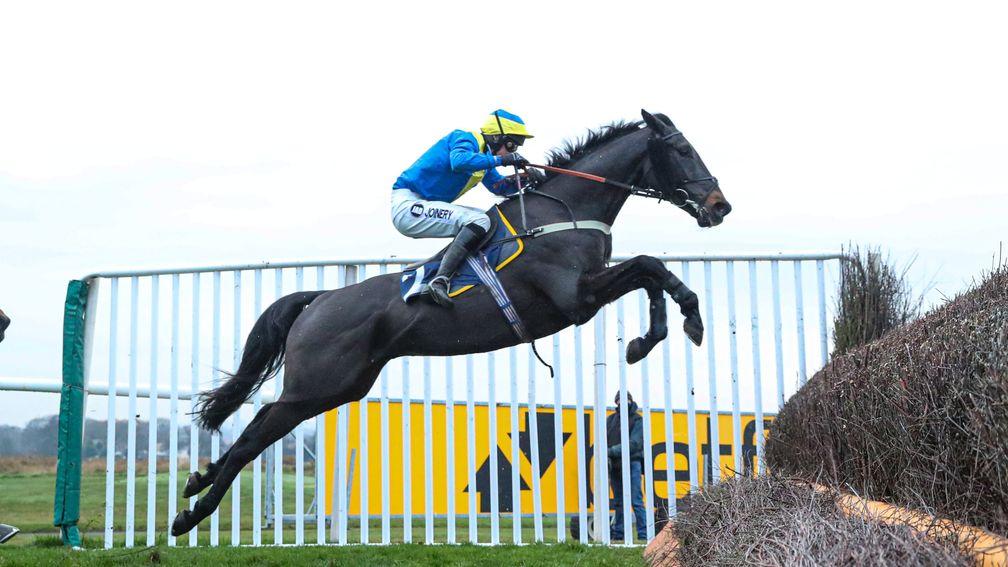 The Ferry Master: a leading contender for the Scottish Grand National