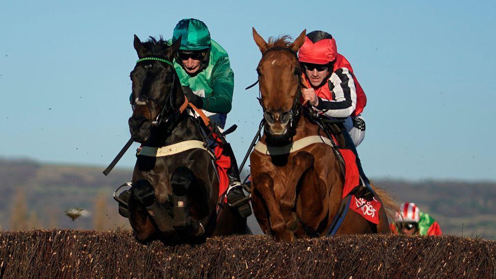 Sceau Royal (left): may bid to repeat his 2018 win in the Shloer Chase