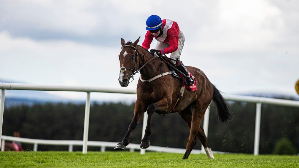 Grangeclare West's jumping on his hurdle debut impressed Paul Townend