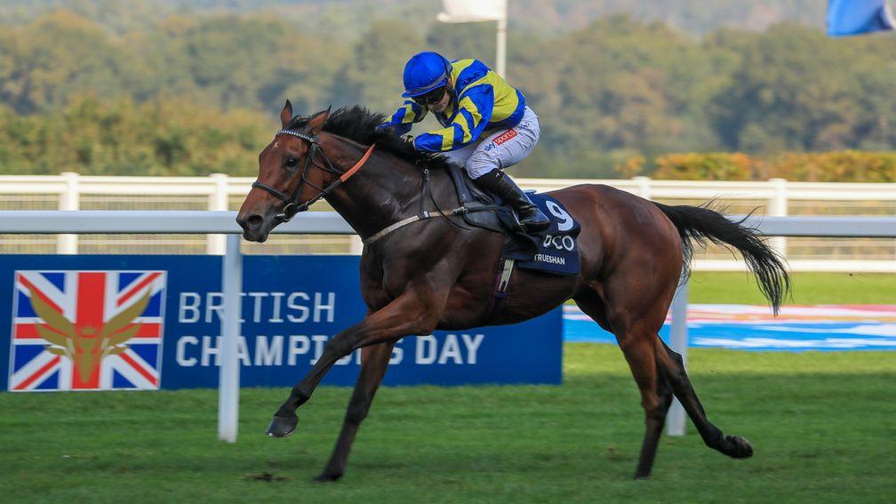 Trueshan: next run will be in the Gold Cup at Royal Ascot