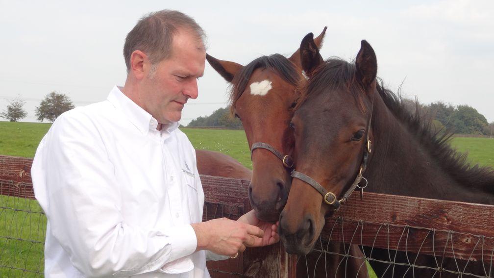 Tony Fry tends to the stock at Hesmonds Stud in East Sussex