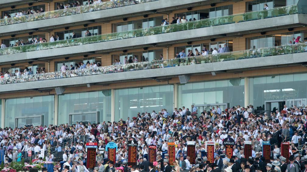 Punters look over the betting ring at Royal Ascot