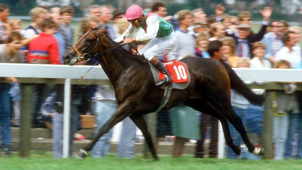 Dancing Brave: just one of Khalid Abdullah's greats on the track