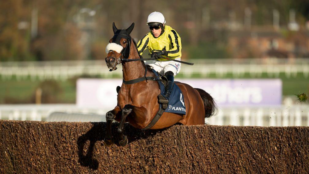 Allmankind: jumps the last on the way to victory