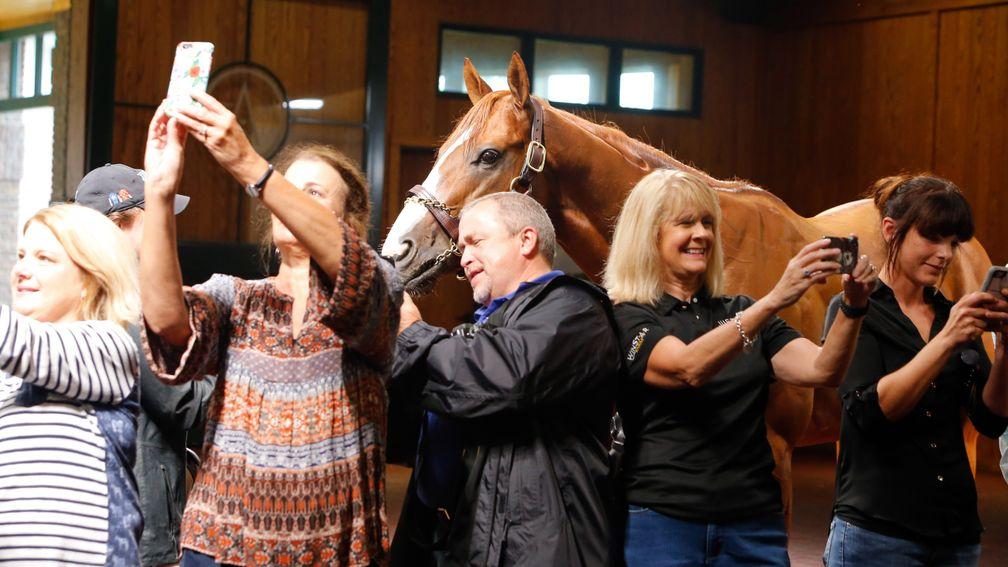 Fans can't resist a chance to get a selfie with their equine hero Justify