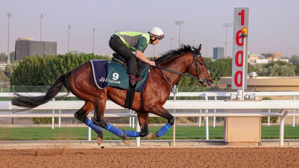Mishriff has his final prep at the King Abdulaziz Equestrian Racecourse before the Saudi Cup on Saturday