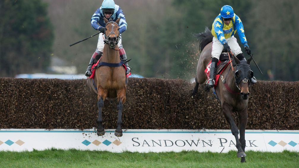Surrey National winner: Le Reve (right) beating Pete The Feat at Sandown in 2016