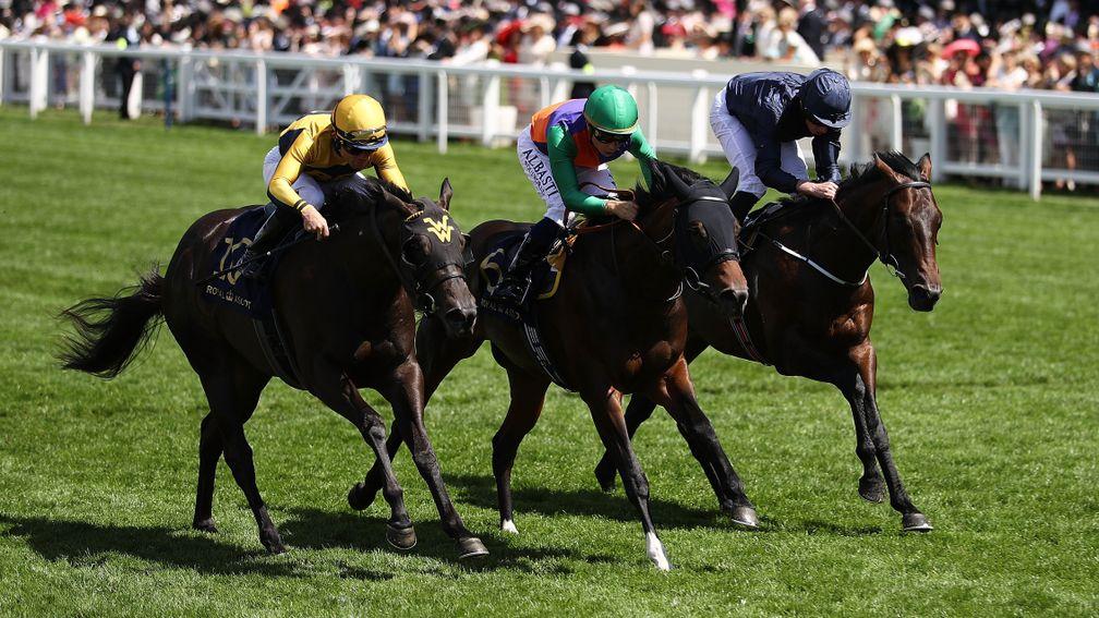 What a finish: Shang Shang Shang (near side) beats Pocket Dynamo and Land Force in the Norfolk Stakes