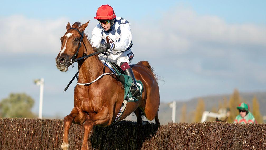 Banbridge: Barry Orr's pick for the Turners Novices' Chase