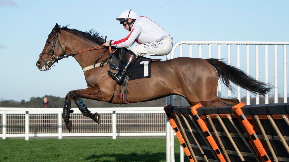 Goshen: unbeaten Gary Moore-trained juvenile is well fancied for the JCB Triumph Hurdle