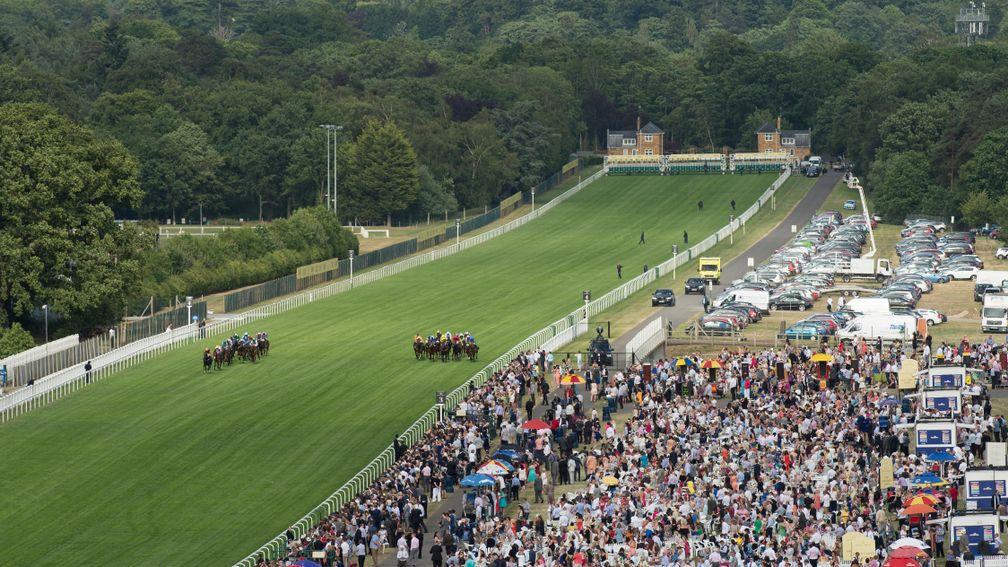 Runners in the 2015 Royal Hunt Cup thunder down the straight mile at Ascot