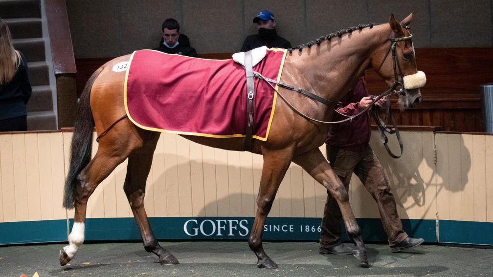 Eagle's Flight, who went the way of Gearoid Brouder for €100,000