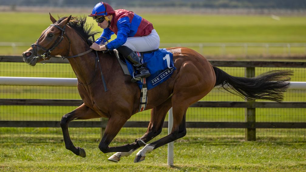 Acapulco Bay: won a Curragh maiden in August