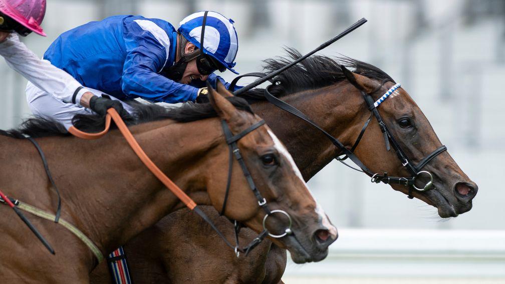 Nazeef noses out Agincourt in the Duke of Cambridge Stakes