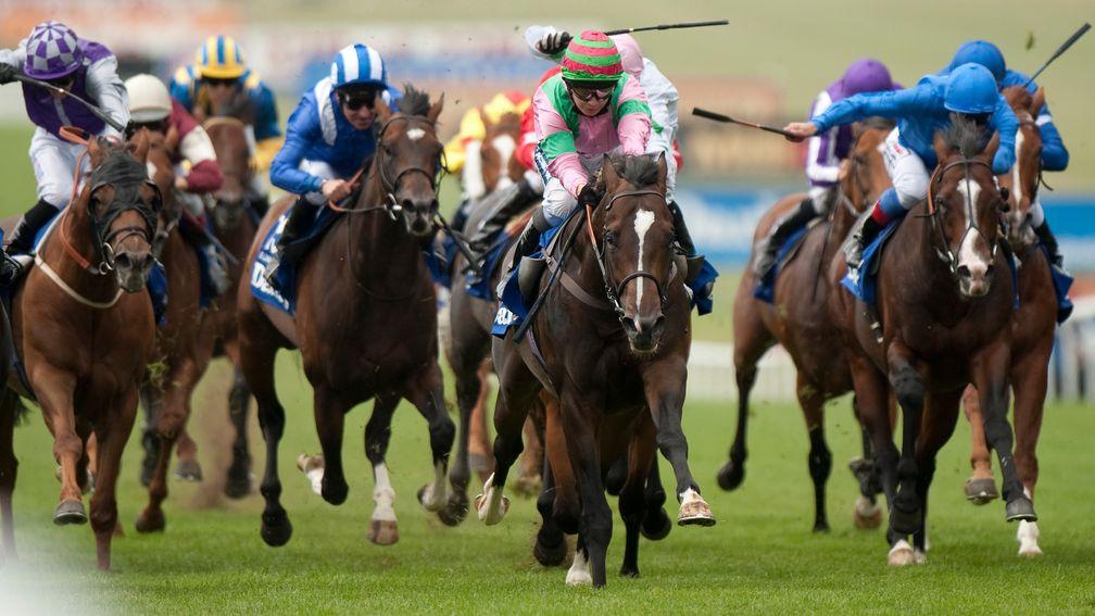 Dream Ahead (hooped cap,centre): The July Cup winner graduated from the 2010 Doncaster Breeze-Up Sale