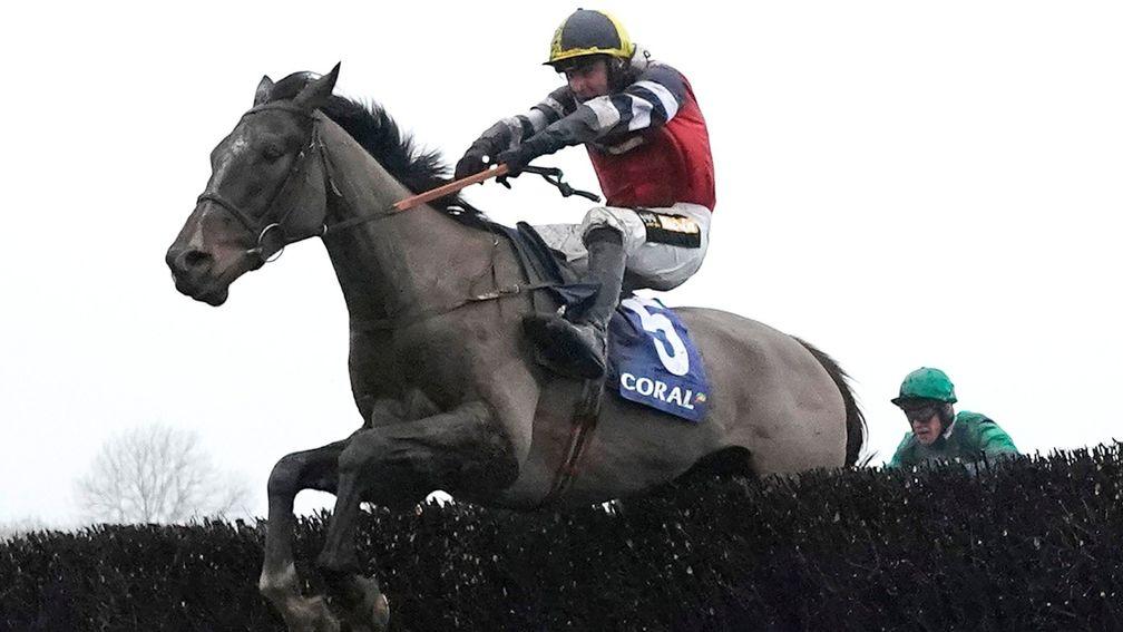 Potters Corner: looks very much the stuff that Aintree horses are made of