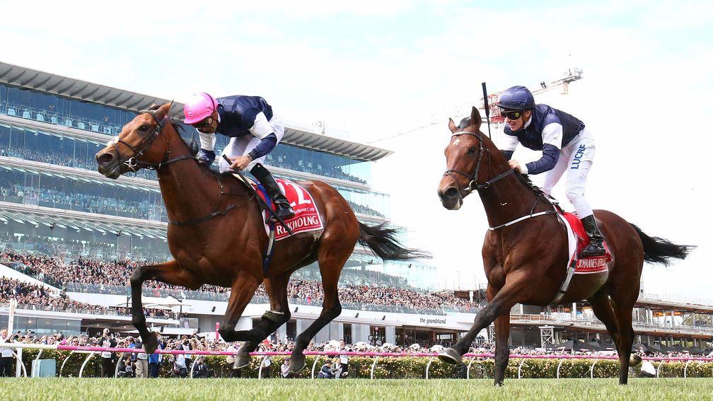 Rekindling and Corey Brown (left) win the Melbourne Cup