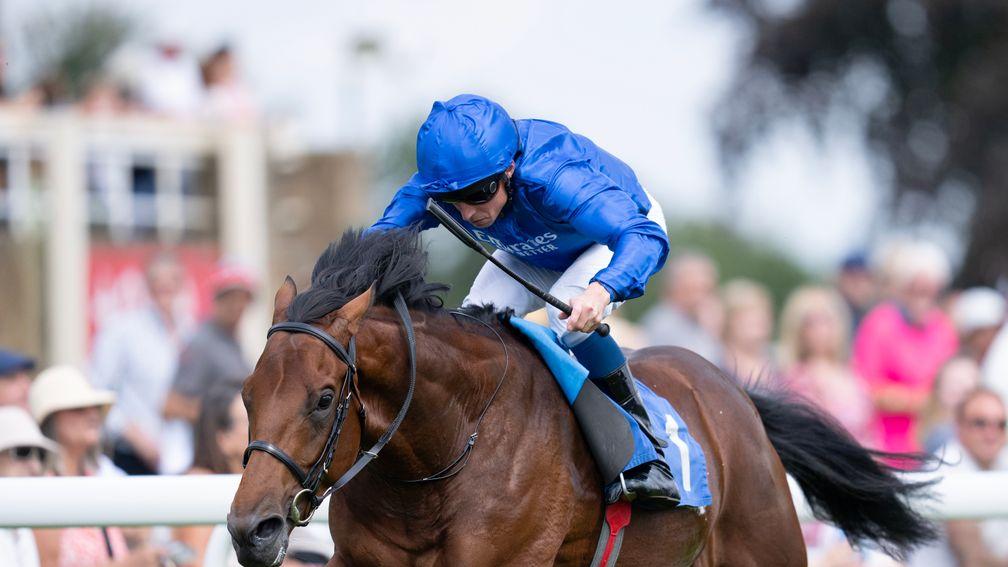 Arabian Crown may head for the Royal Lodge Stakes after winning in Listed company