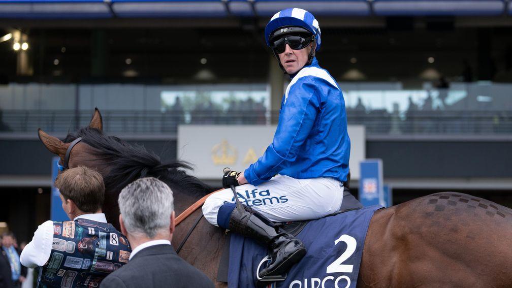 Baaeed and Jim Crowley after finishing fourth in the Qipco Champion Stakes