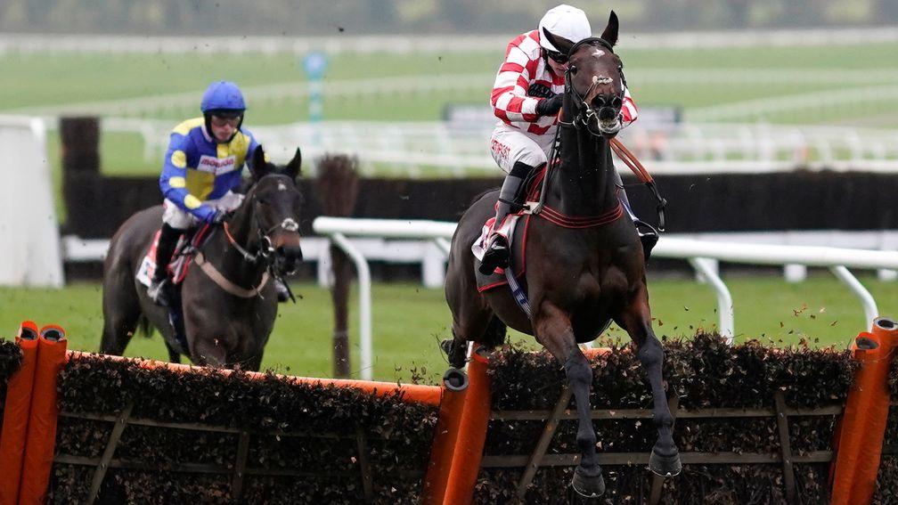 Hang In There and Adam Wedge lead the way at Cheltenham