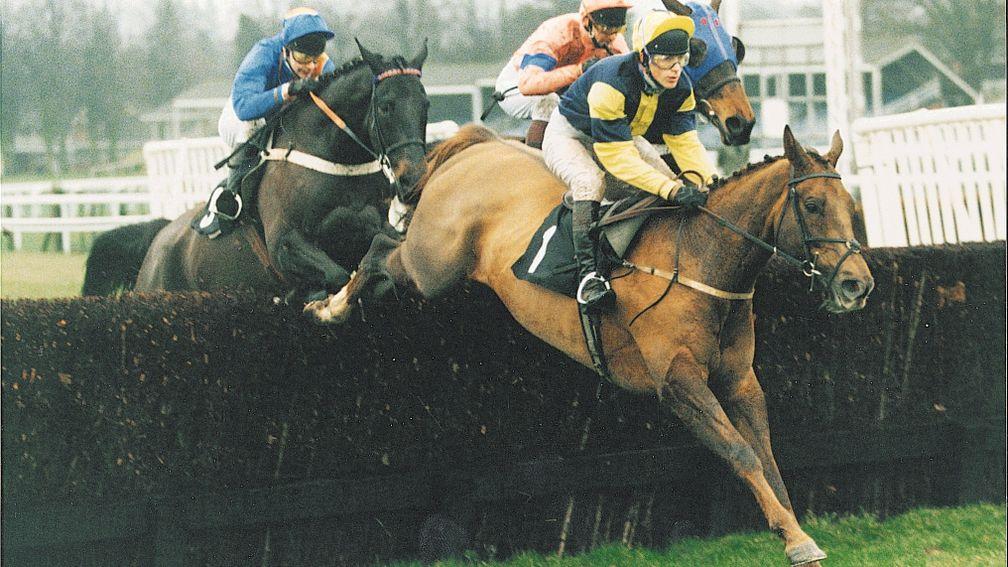 Young Hustler and Carl Llewellyn on their way to winning at Ascot in December 1993