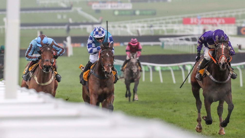 Nelson River and Harry Bannister (right) score in style at Cheltenham to tee up a bold bid for the Triumph Hurdle