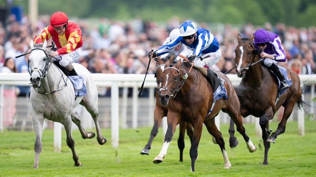 The Foxes (starred cap): won the Dante Stakes at York