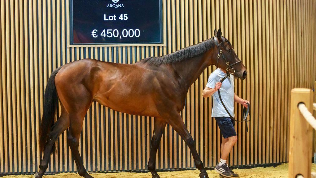 The Sioux Nation filly out of Skylight makes €450,000