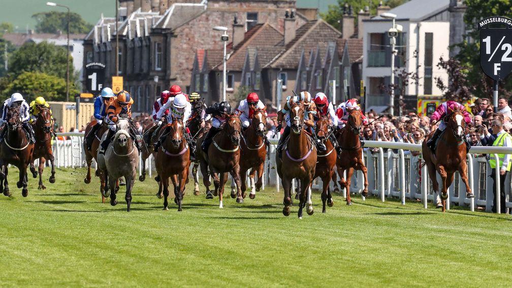 The action will be fast and furious in the Scottish Sprint Cup at Musselburgh