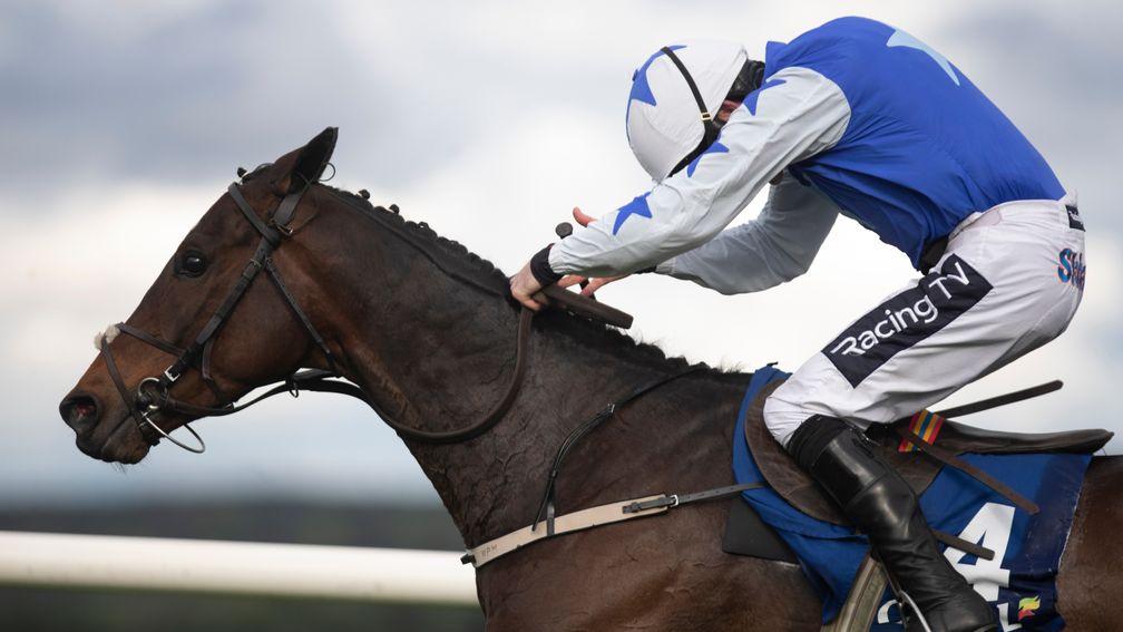 Kemboy: winner of the Punchestown Gold Cup
