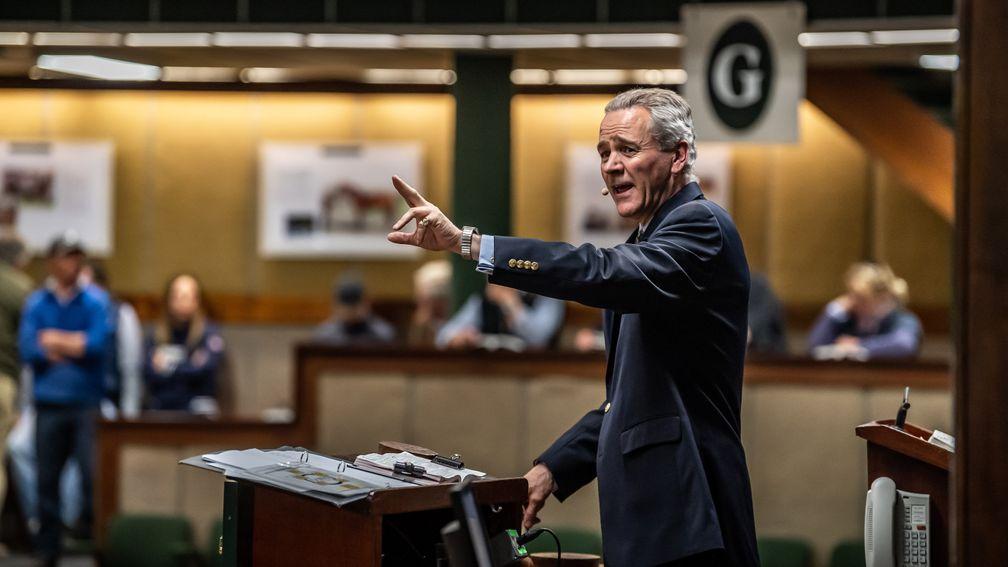 Henry Beeby: Goffs chief executive hailed the booming international trade across the past three days