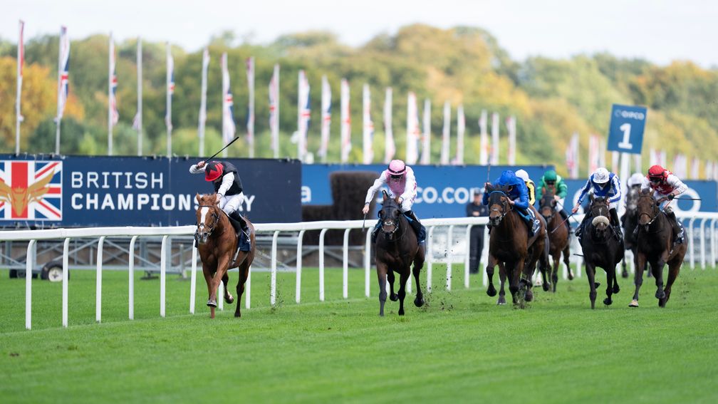 Kyprios: went one better than 12 months ago in the Long Distance Cup