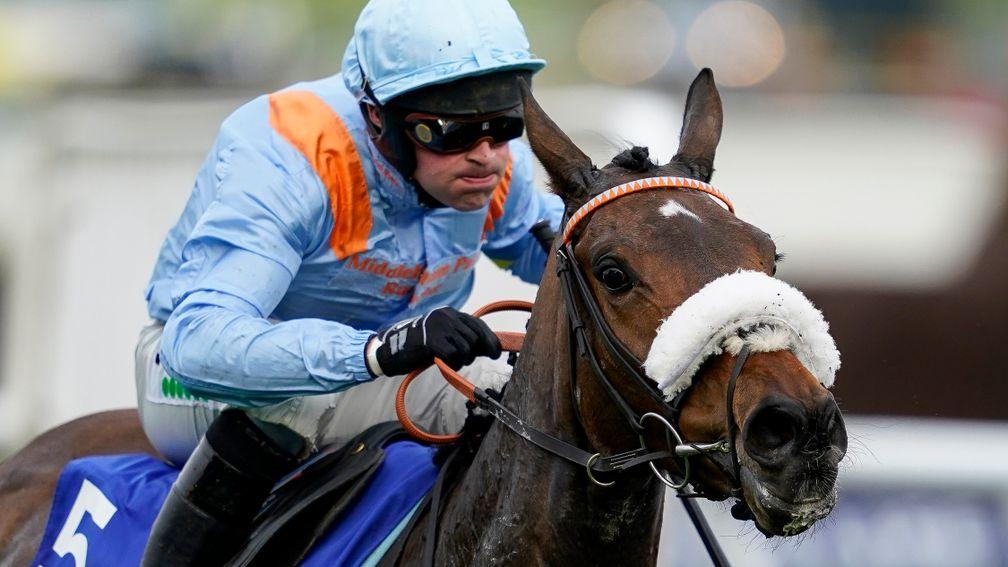 Marie's Rockk: will run in the Liverpool Hurdle next month
