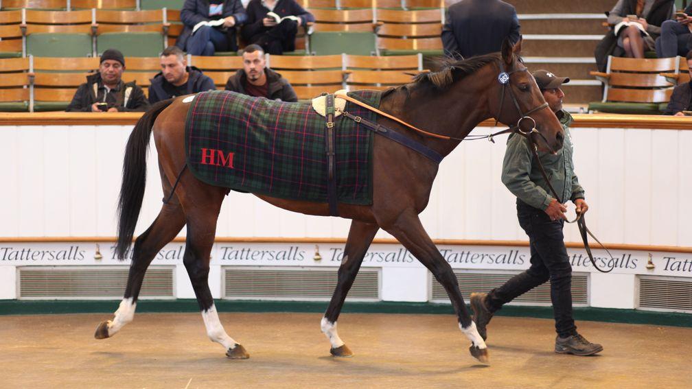 Lot 952: King Of Clubs brings 230,000gns from Johnny McKeever