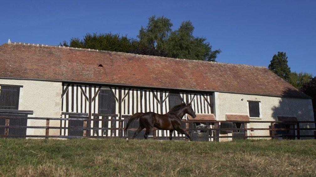 Haras du Logis: in keeping with rural idyll
