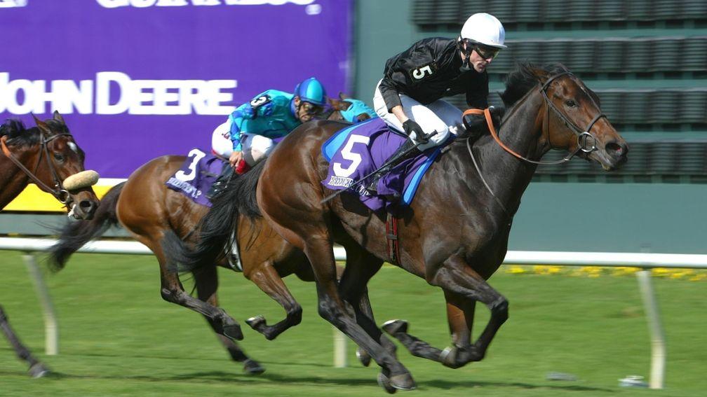 Ouija Board lands the Breeders' Cup Filly and Mare Turf