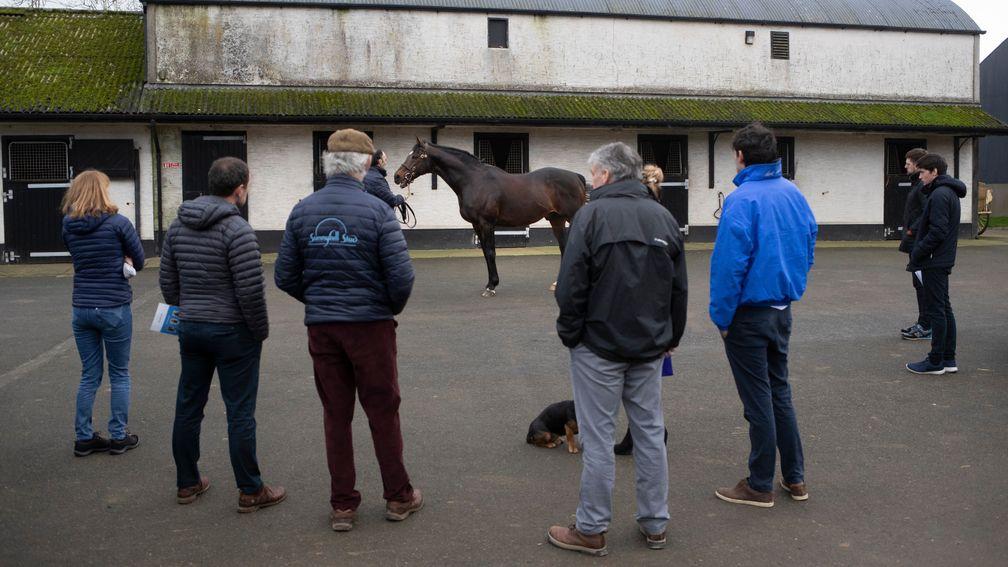 Michael Hickey gives guests the lowdown on Sunnyhill Stud star Doyen