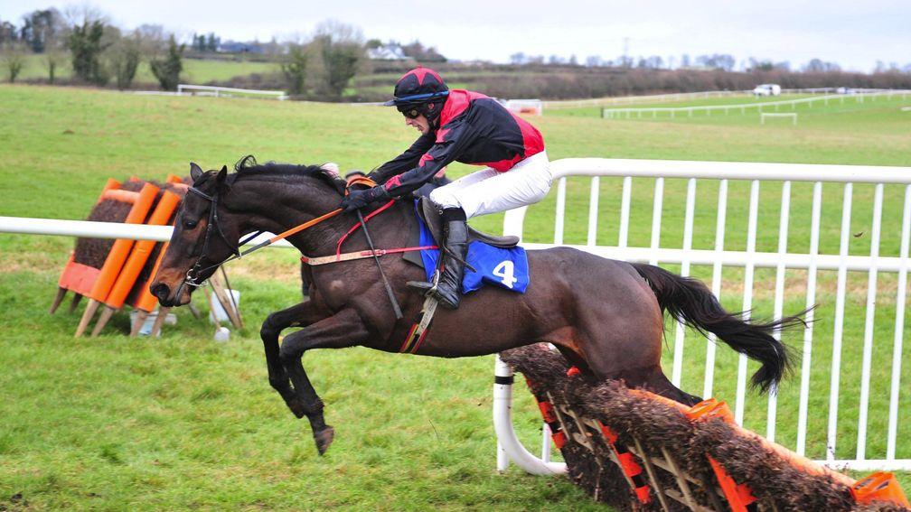 Killahara Castle goes up 16lb for her shock 200-1 success at Thurles on Sunday