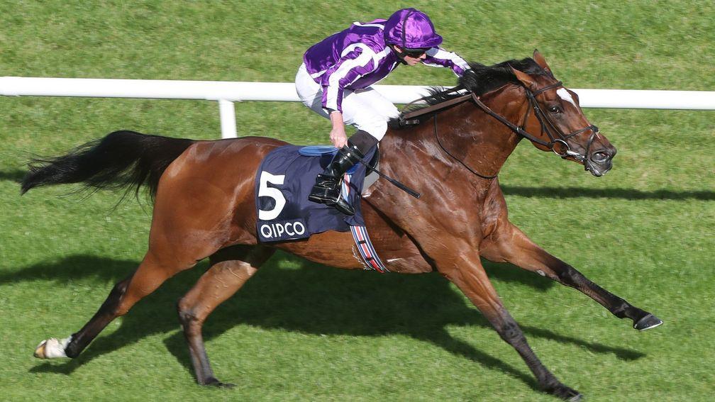 Magical: worthy favourite for Qipco Champions Stakes at Ascot on Saturday