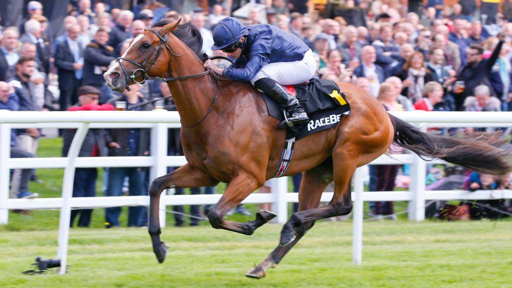 Anthony Van Dyck began his Derby-winning campaign with victory at Lingfield
