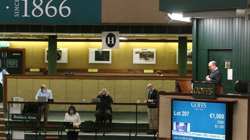 Online bidding has become a necessity in thoroughbred auctions over the last year