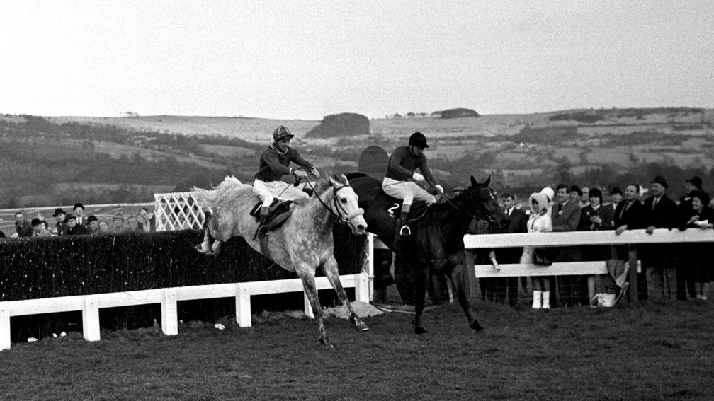 Stan Mellor and Stalbridge Colonist (nearsiide) take the last  upsides Woodland Venture (Terry Biddlecombe) in the 1967 Cheltenham Gold Cup