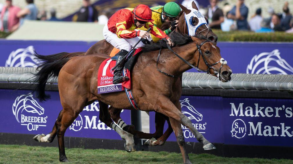 Iridessa was last seen landing the Breeders' Cup Filly & Mare Turf